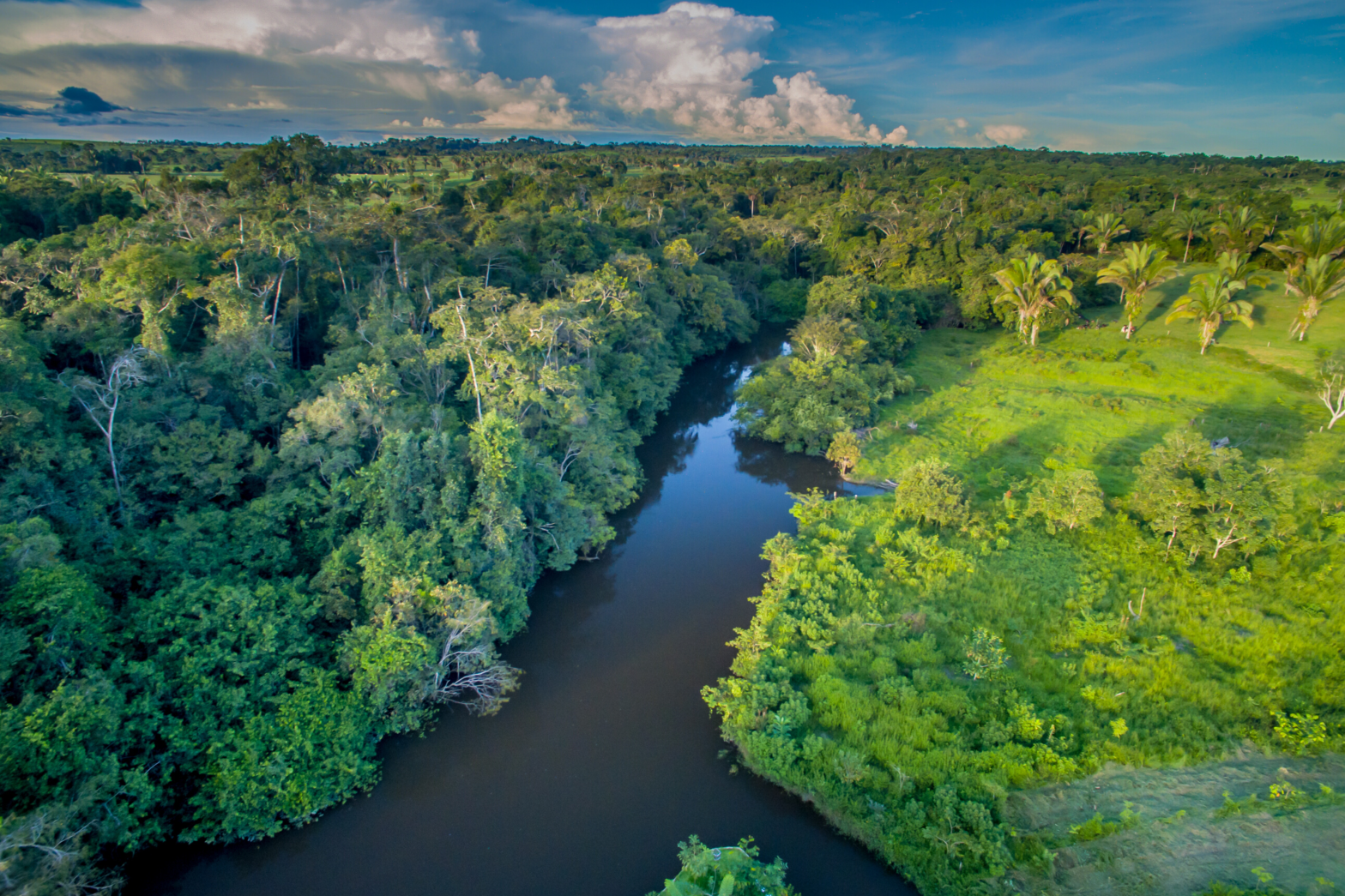 Unlocking the green economic potential: preserving the Amazon for Brazil's prosperous future