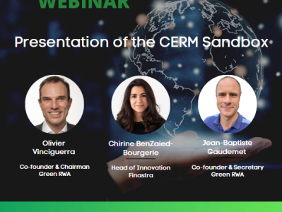 Presentation of the CERM�Sandbox