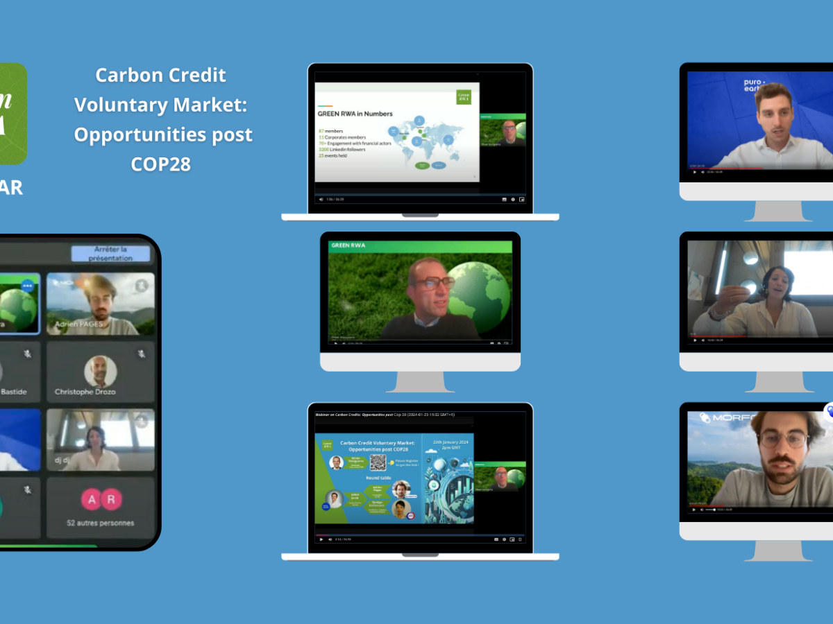 Carbon credit voluntary market: Opportunities post COP�28